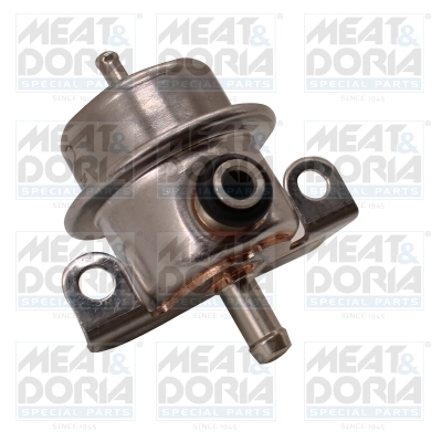 Fuel Pressure Regulator